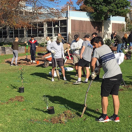 AUT Students planting trees