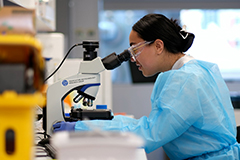 Workplace experience at AUT