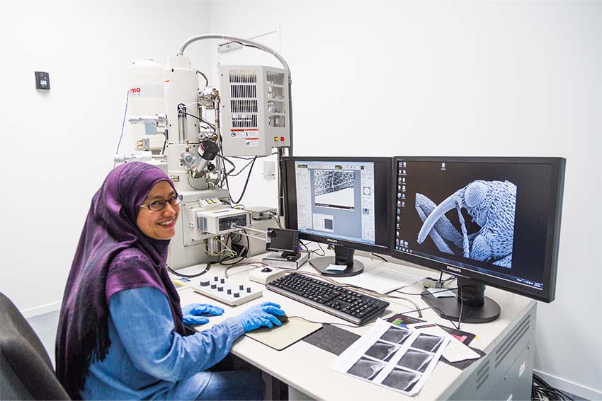 Scanning Electron Microscope (SEM)