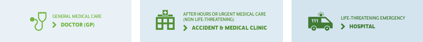 NZ medical system chart