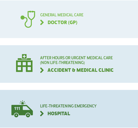NZ medical system chart